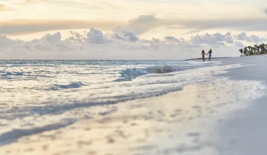 Plavba kolem světa 2027 s MSC