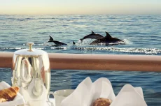 Plavby MSC, nejlepší dovolená: léto 2026